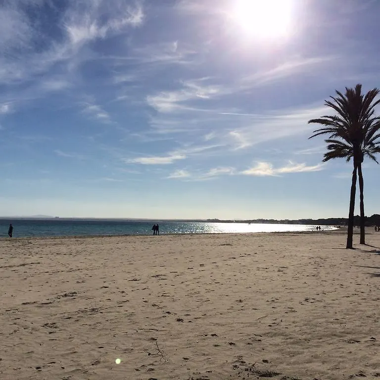 Apartment Minerva Beach Port de Alcudia  Spain